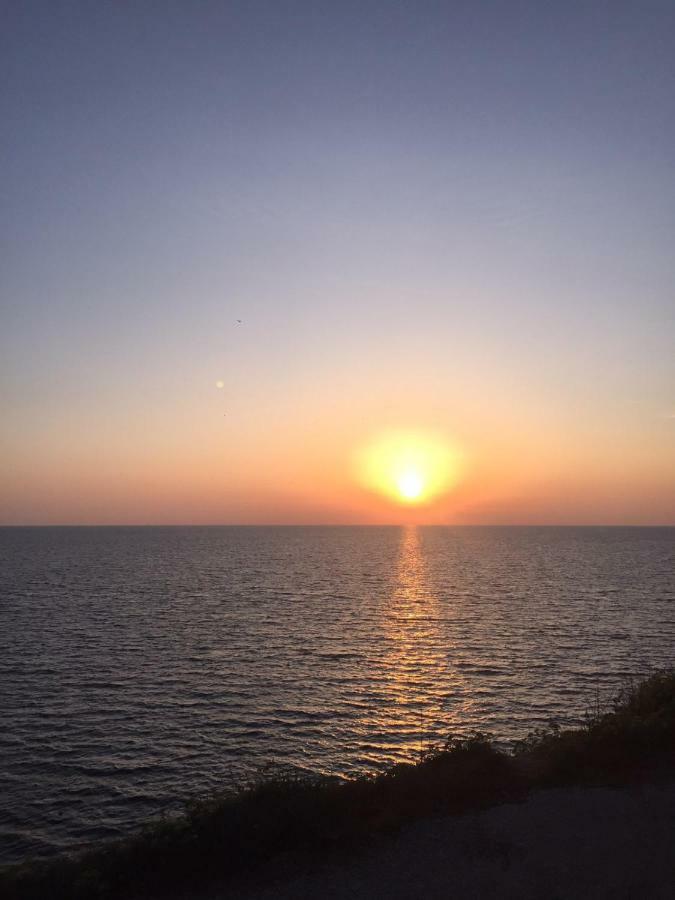 Sea Star * אולסינץ'